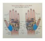 Acupressure Book Hindi Attar Singh - Image 4