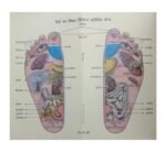 Acupressure Book Hindi Attar Singh - Image 5