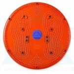 ANCS-Acupressure-Twister-body-weight-reducer-Big-2in1