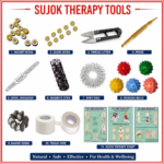 ANCS Sujok Acupuncture Six ki Auricular - Combo