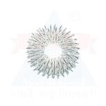 ANCS Sujok Finger Massage Ring - main