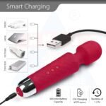ANCS Wonder Massager - Lulu Massager - 2