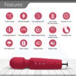 ANCS Wonder Massager - Lulu Massager - 5