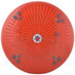 ancs-acupressure-twister-body-weight-reducer-magnetic-water-mark