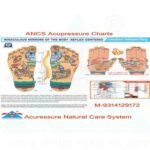 ancs-acupressure-peanut-ball-ankle-foot-curve-massage-therapy-ball-charts