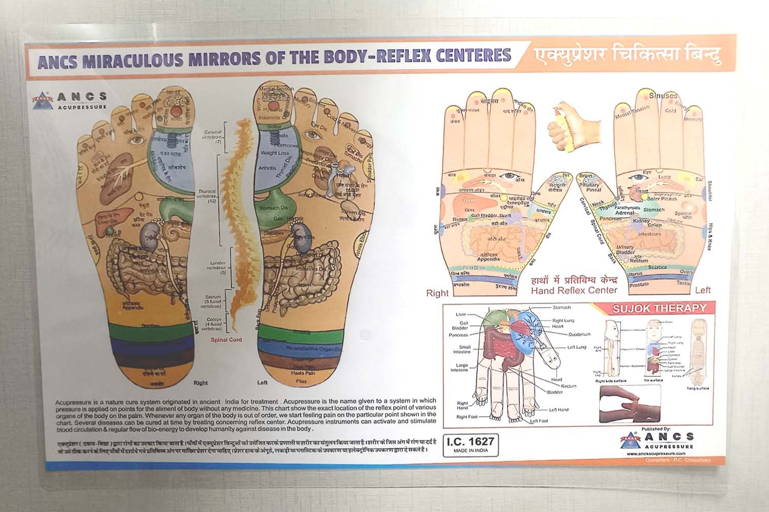 Physio Prime acupressure foot reflexology point chart (Hard Plastic Lamination Cov...