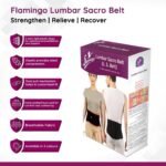 falmingo-l-s-belt-back-pain-remove-support-blet