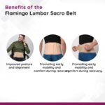 falmingo-l-s-belt-back-pain-remove-support-blet