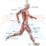ancs-shock-machine-how-can-use-shock-wave-points-charts